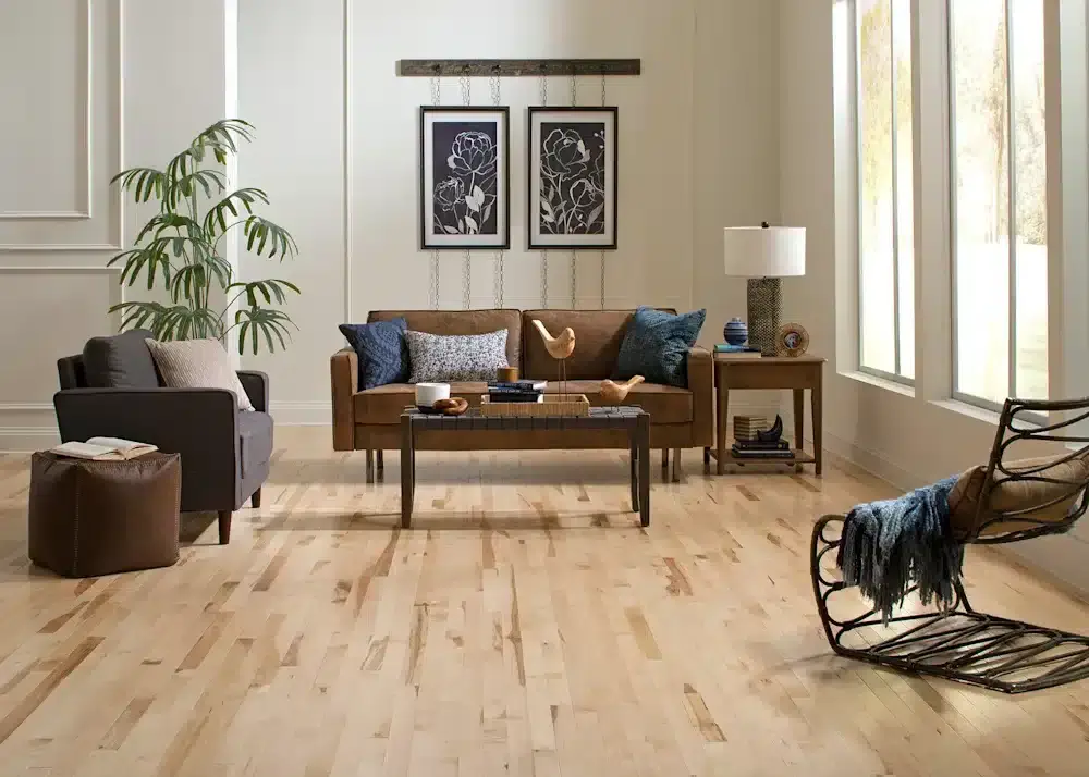 A modern living room showcasing a beautifully refinished birch hardwood floor. The room features a brown leather sofa, gray armchair, and a stylish coffee table. A tall green plant and contemporary wall art complete the inviting space.