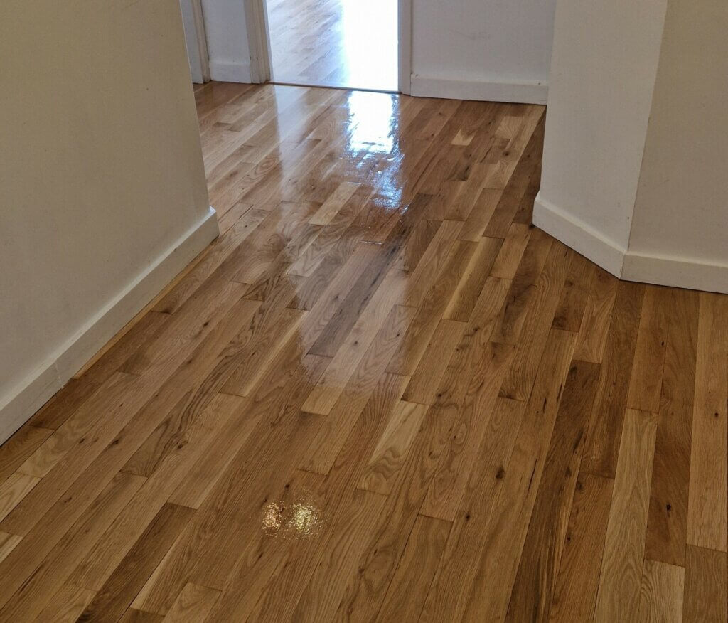A freshly refinished wooden floor with a shiny, polished surface in a hallway leading to another room. The natural wood grain is prominent, and the finish enhances the floor's rich color and texture. The hallway's walls are painted white, and the contrast highlights the floor's craftsmanship.
