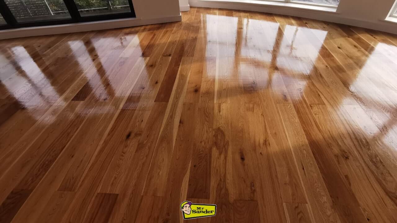 A freshly finished hardwood floor with a glossy sheen, reflecting natural light from surrounding windows.