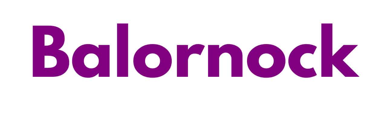 Mr Sander® - Balornock