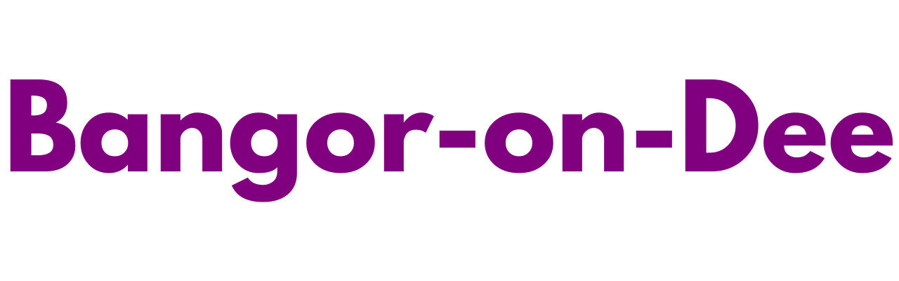 Mr Sander® - Bangor-on-Dee