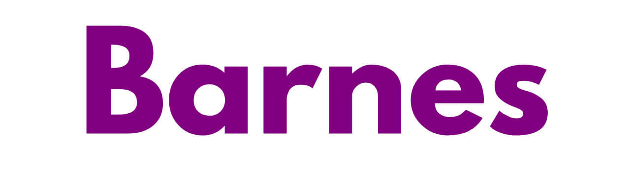 Mr Sander® - Barnes
