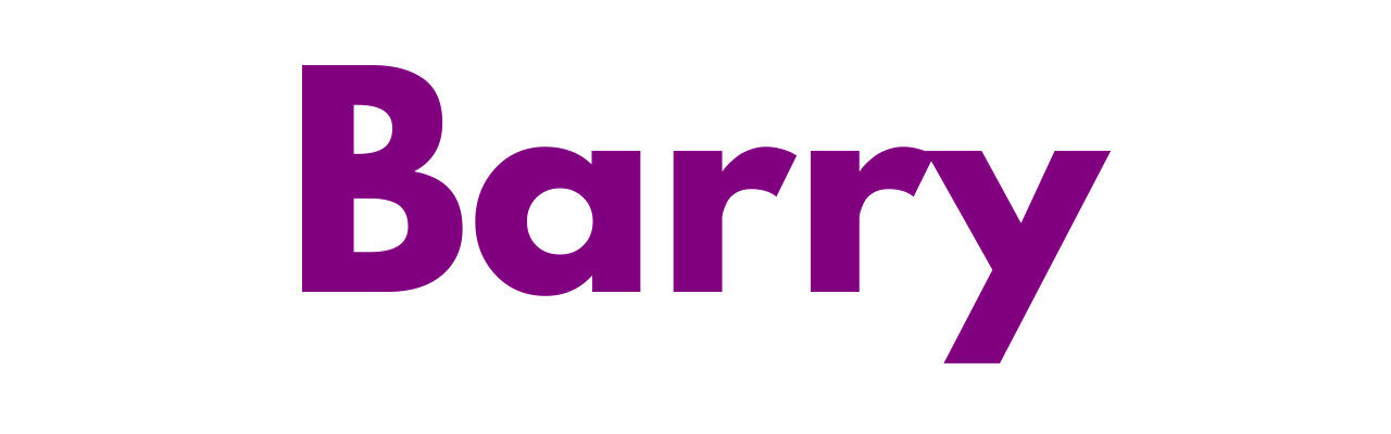 Mr Sander® - Barry