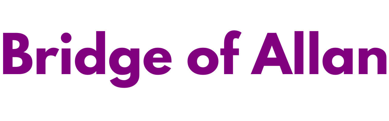 Mr Sander® - Bridge of Allan