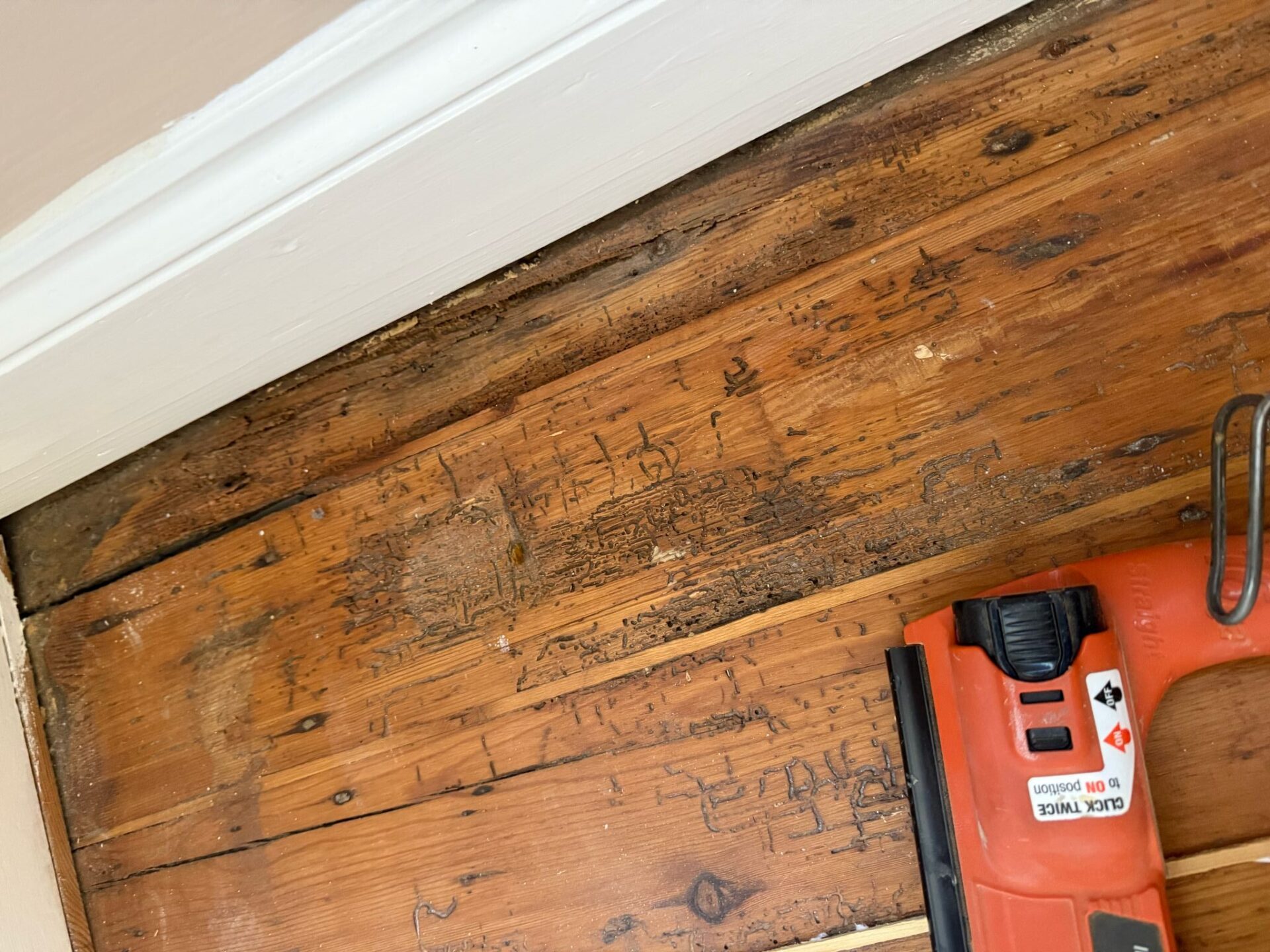 Close-up of a worn wooden floor with visible scratches and discoloration, showing the need for floor sanding and refinishing.