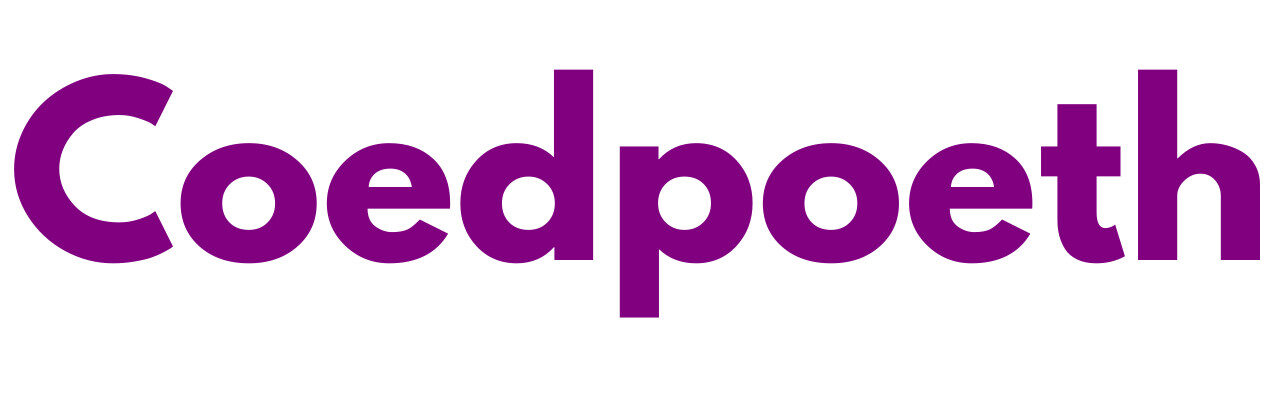 Mr Sander® - Coedpoeth