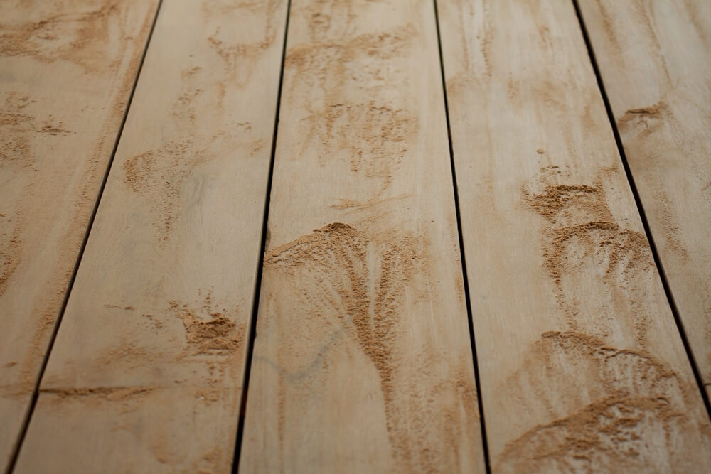 Close-up view of freshly sanded hardwood floor planks showing fine dust residue. The wood floor appears in a light shade, typical of oak or maple, with visible sanding marks and dust particles, indicating the sanding and refinishing process undertaken by Mr. Sander®.