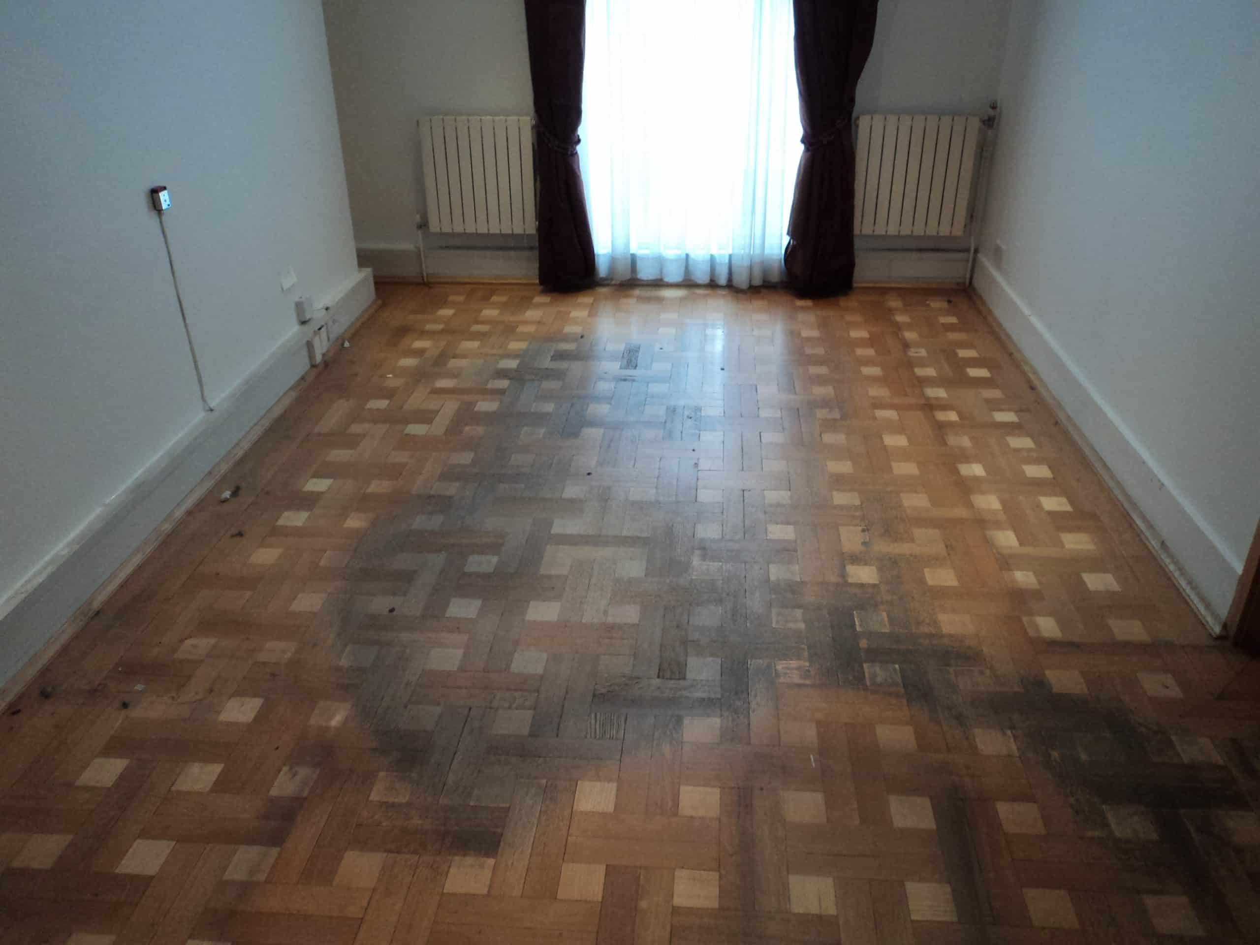 Pet stains on parquet wooden floor