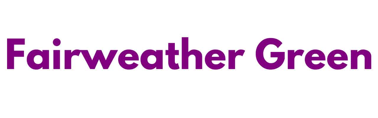 Mr Sander® - Fairweather Green