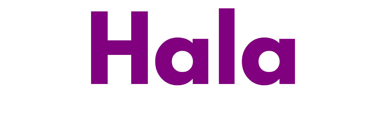 Mr Sander® - Floor Sanding Hala