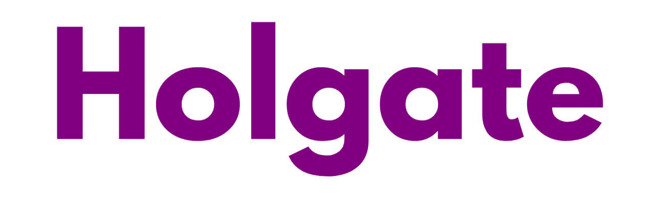 Mr Sander® - Holgate