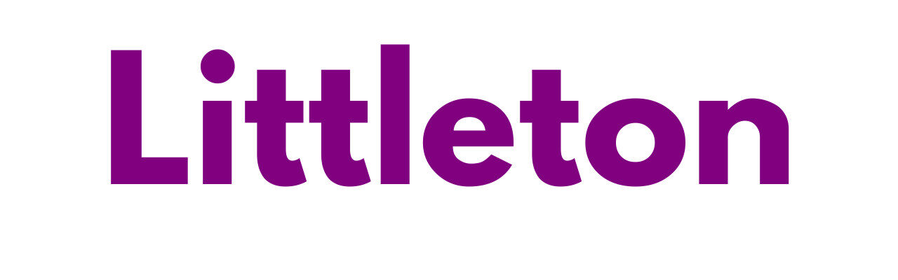 Mr Sander® - Littleton