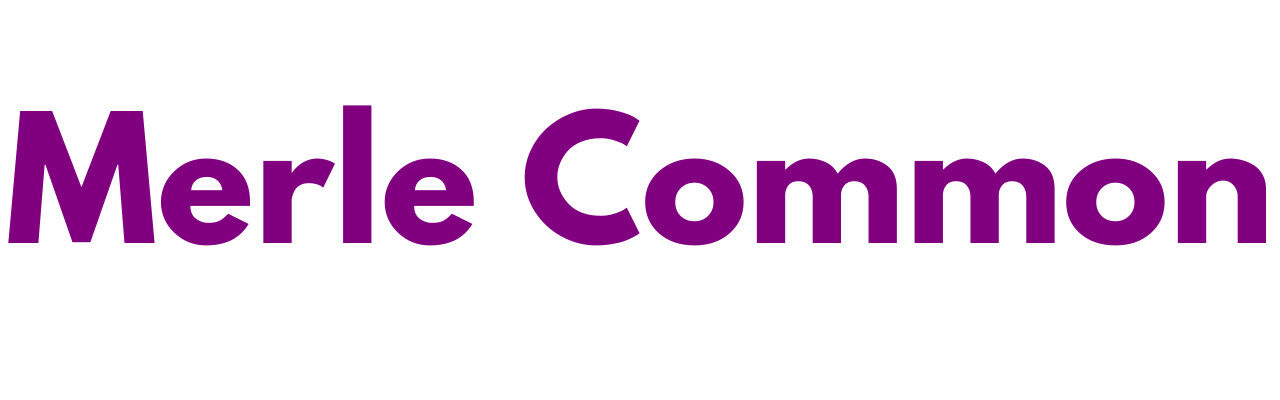 Mr Sander® - Floor Sanding Merle Common