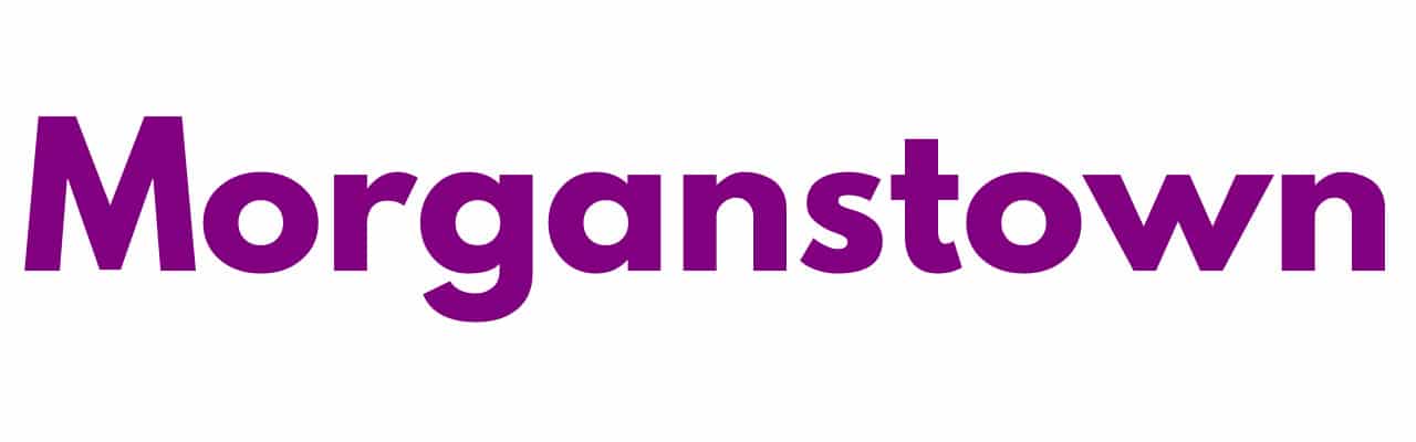 Mr Sander® - Morganstown