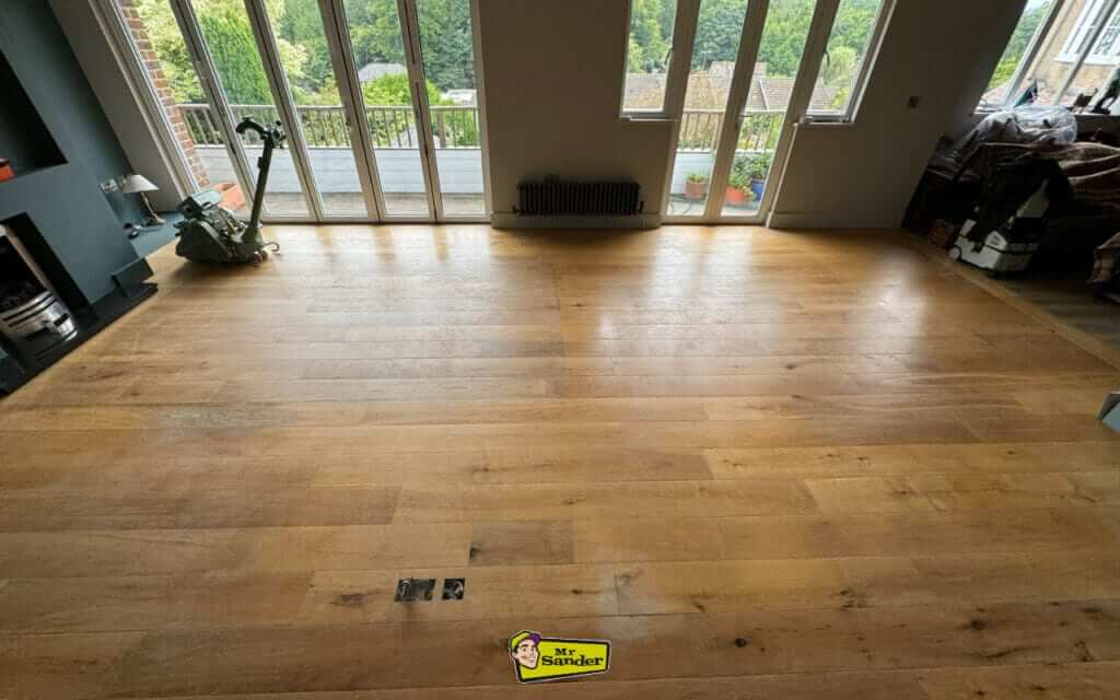 Floor Refinishing