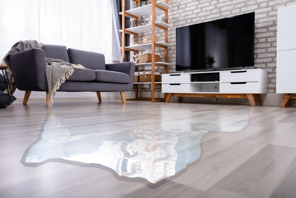 wood floor water damage prevention