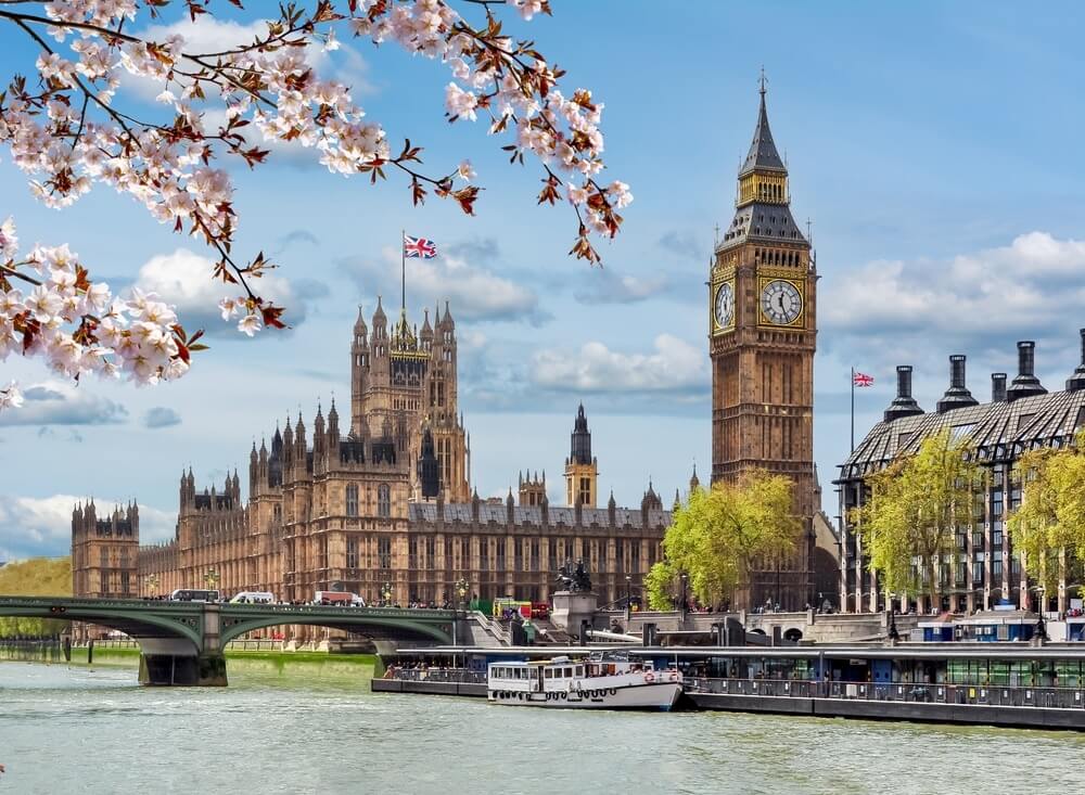 Big Ben and the Houses of Parliament in London during springtime, framed by blooming cherry blossoms along the Thames River.