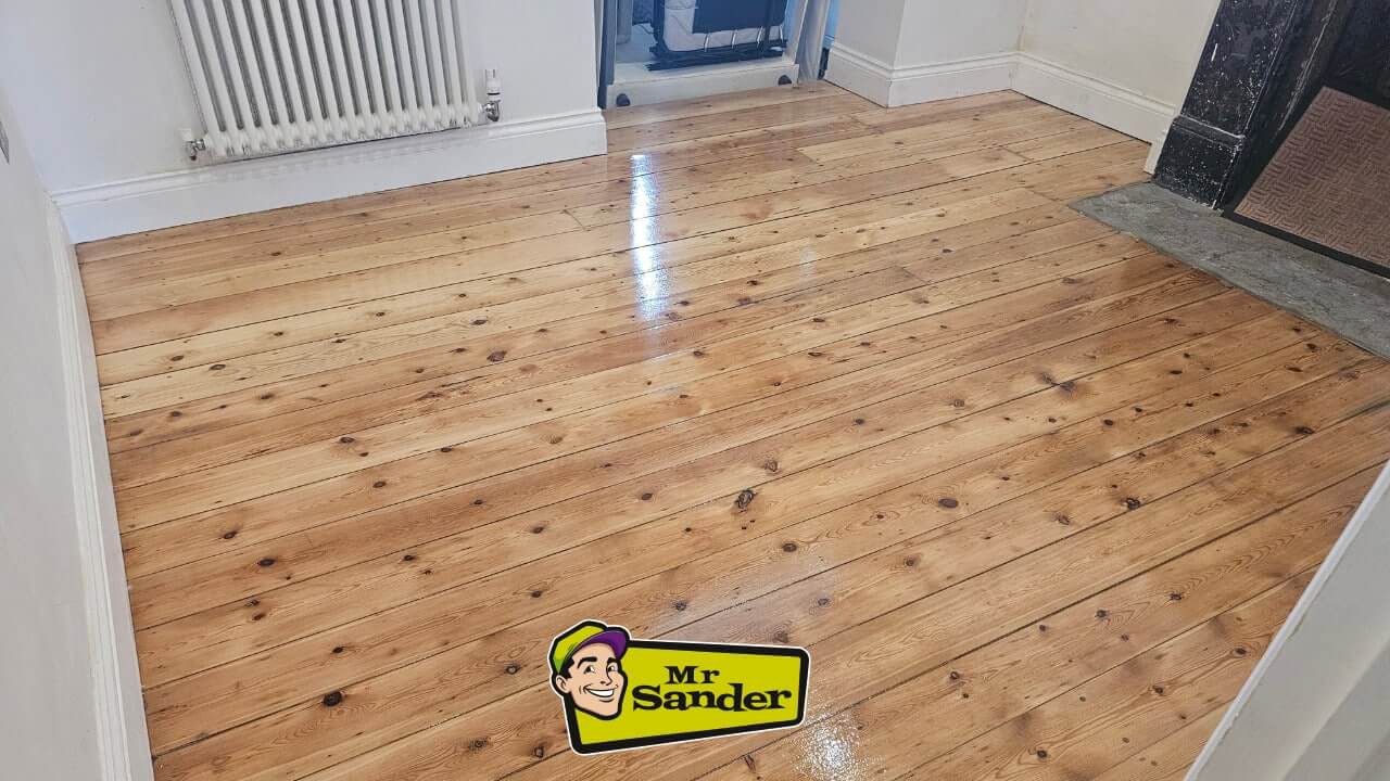 A beautifully sanded and refinished pine floor in a living room. The wood grain is visible and the floor has a warm, golden hue.