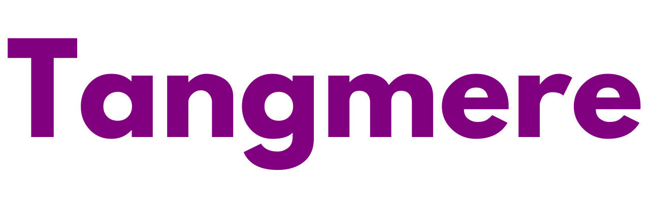 Mr Sander® - Tangmere