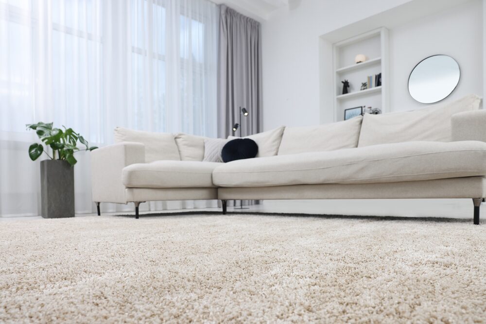 A light-coloured living room with a plush beige carpet, contrasting the idea of switching to a professional Wood Floor Fitting solution.
