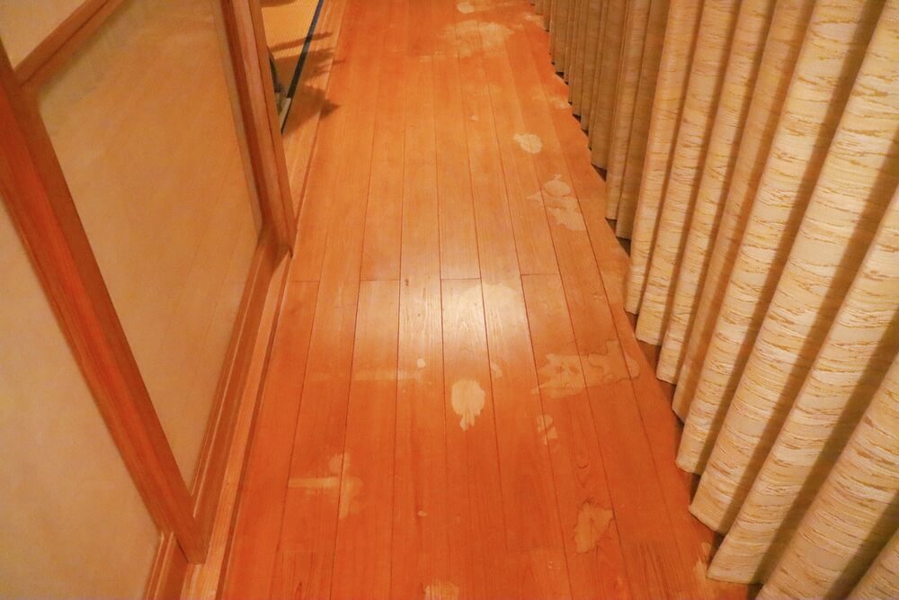 Understanding Pet Damage on Hardwood Floors