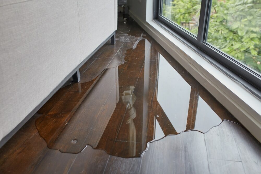 Water damaged wood floor 