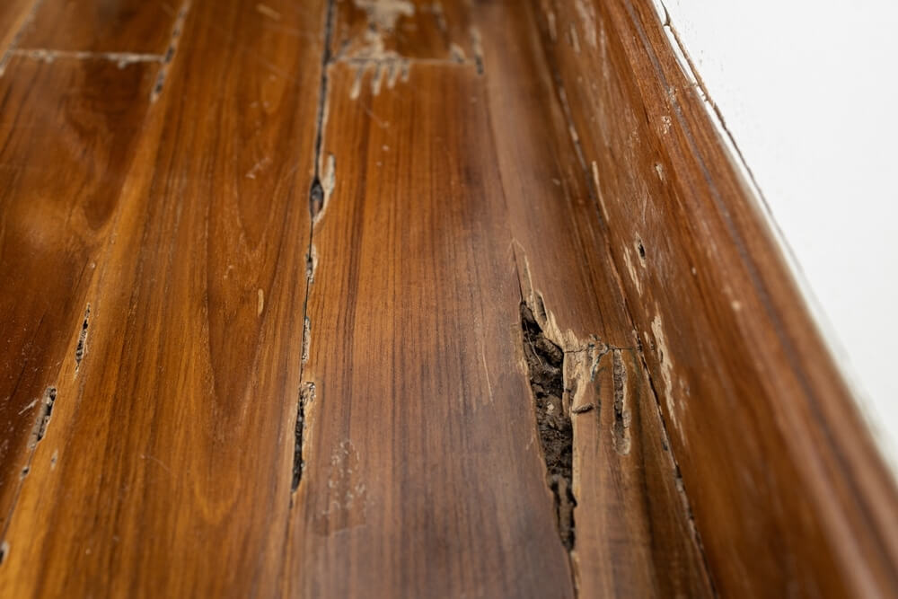 Close-up of a heavily damaged wooden floor, showing significant cracks and missing sections near the wall.