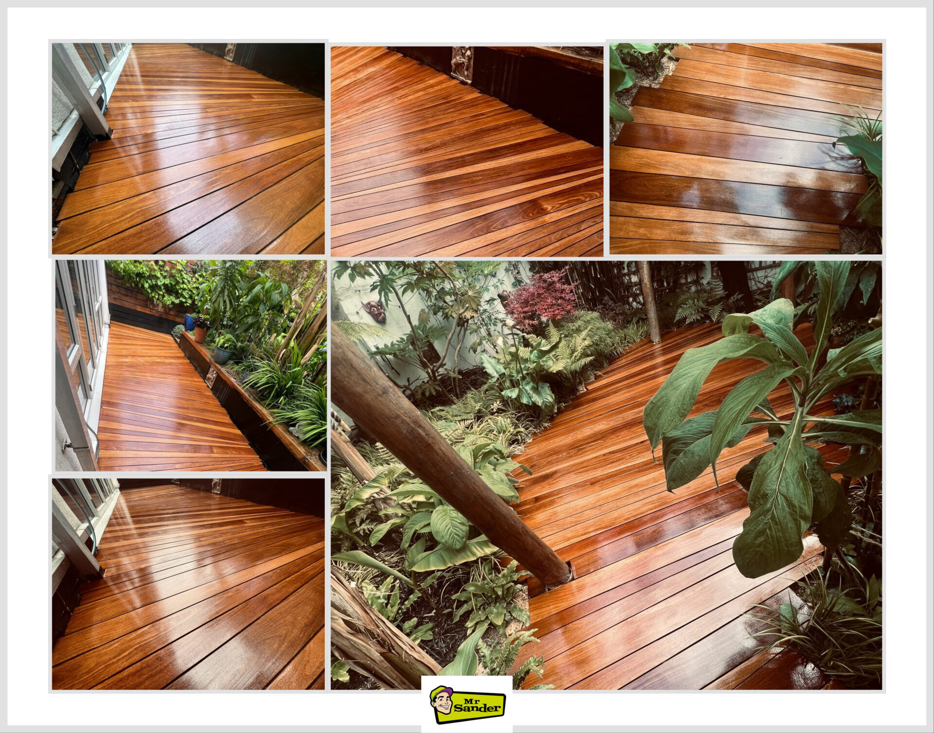 Anger at Aging Decks: freshly restored hardwood timber decking with a glossy oiled finish, shown from multiple angles surrounded by lush garden plants.