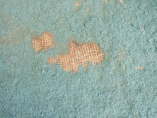 badly-worn-carpet