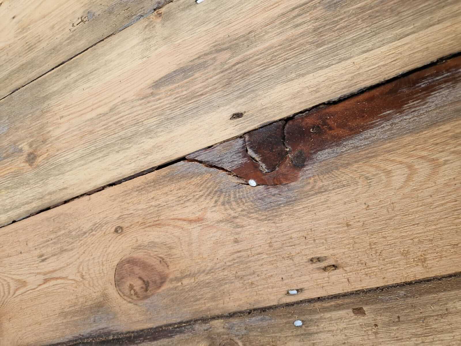 A close-up view of damaged pine floorboards with noticeable wear and tear, including a deep crack and dark discoloration in the wood. The surface shows signs of sanding and some nails are visible, indicating ongoing restoration work.