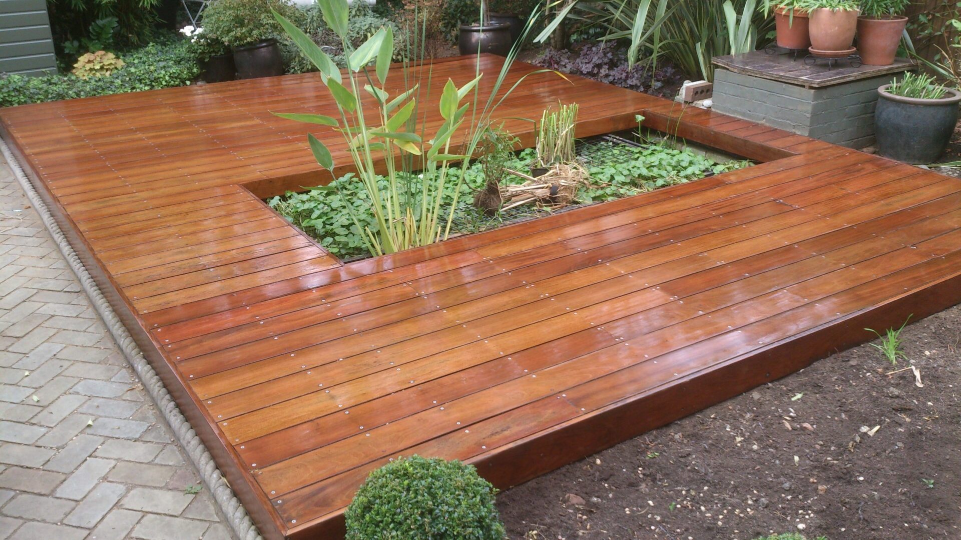 Deck Sanding in London showcasing a beautifully restored ipe hardwood decking floor surrounding a central planted pond, with smooth, glossy wooden boards.