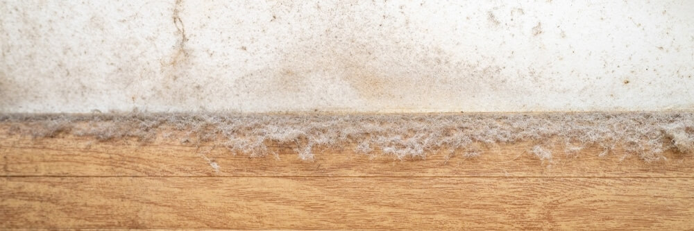 ingrained dirt out of the floor