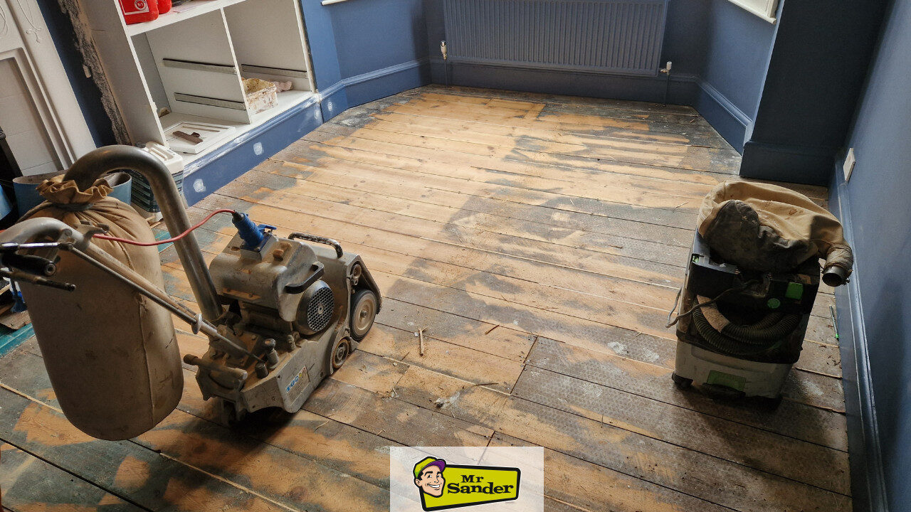 Mid-sanding pine floorboards with a belt sander and dust extractor in a blue-walled living room—patchy first pass visible before refinishing by Mr Sander®.