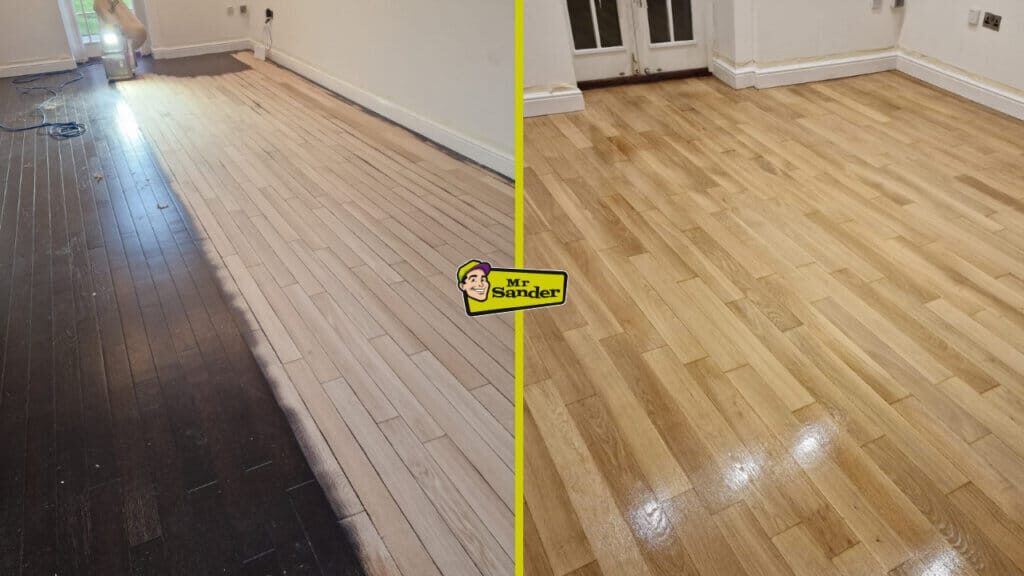 Expert Sanding