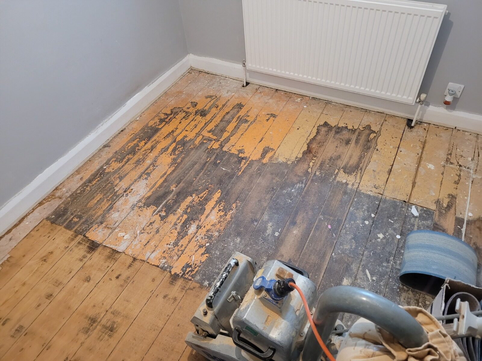 A professional floor sanding machine removing old orange varnish and dark stains from Victorian pine floorboards to achieve a modern chic look.