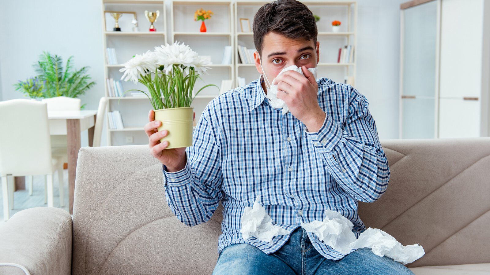 indoor allergies Causes 