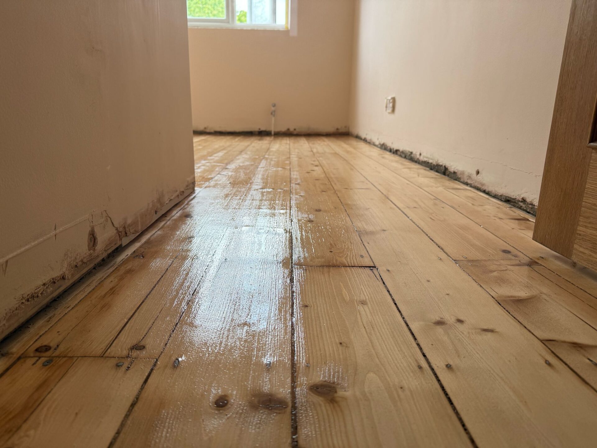 Freshly sanded pine floorboards with a first coat of clear finish, displaying a pale-honey Scandinavian shade under natural window light.