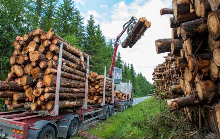 Bio,Mass,Timber,Harvesting,In,Norway