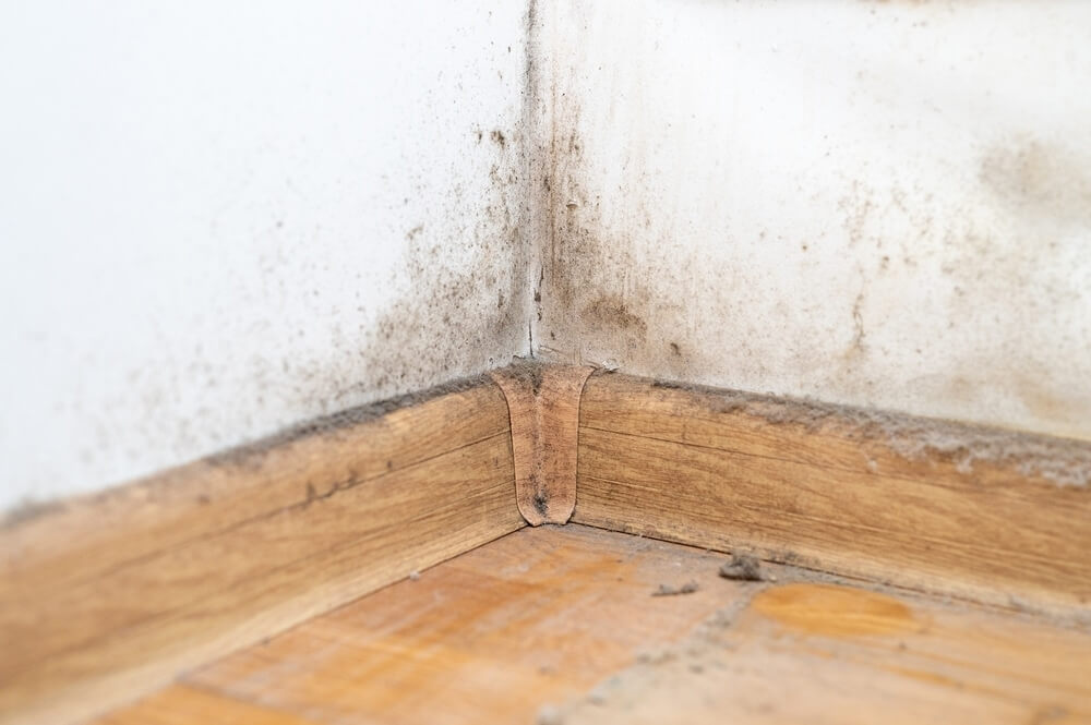 Should I Paint Before I Sand the Floors?